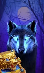 Book Of The Night Wolf